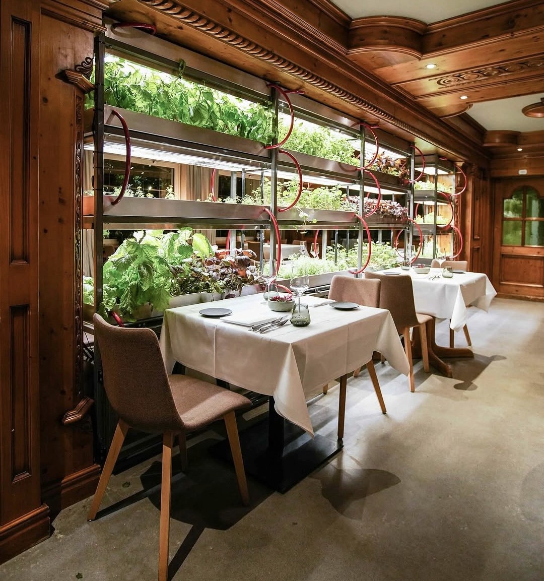 Restaurant des Hotel Seegarten mit frischem Kräutergarten